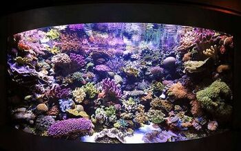 Daily and Weekly Coral Reef Tank Maintenance Schedule