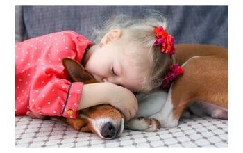 Death Of A Pet May Trigger Long Term Grief In Children