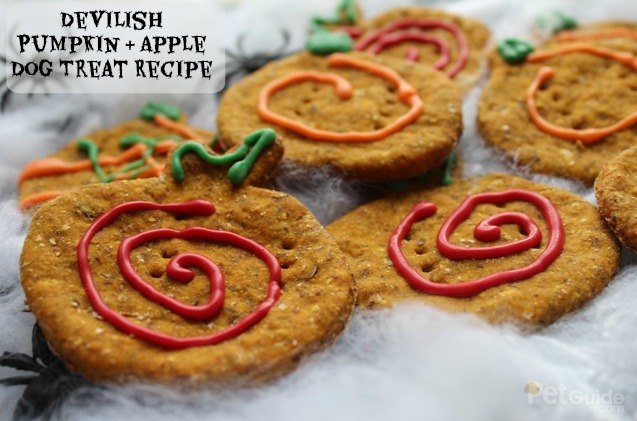 devilish pumpkin and apple dog treat recipe