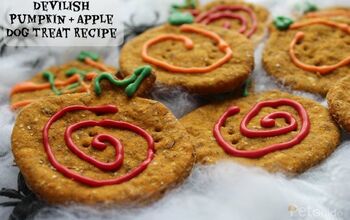 Devilish Pumpkin And Apple Dog Treat Recipe