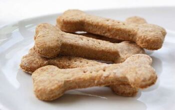 DIY Dog Treats: How to Make Easy-Peasy Dog Treats [Video]