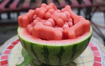 DIY Dog Treats: How to Make Frosty Watermelon Dog Treats [Video]