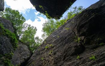 Dog Bears It Out for Three Days in Cave