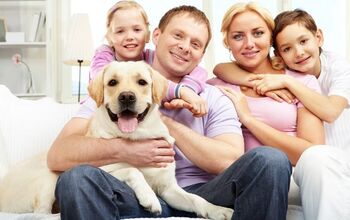 Dog Insurance Pros and Cons