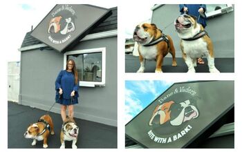 Doggie Dining Takes A Trip Into Drive-Thru