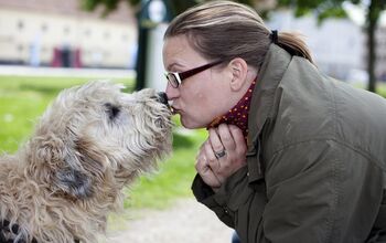 Don’t Worry Human, Science Says Your Dog Loves You… Lots