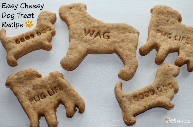 easy cheesy dog treat recipe