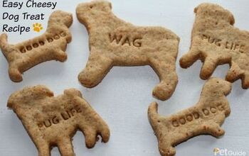 Easy Cheesy Dog Treat Recipe