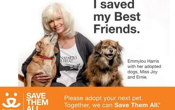 Emmylou Harris Stands Up For Shelter Dogs in Best Friends Animal Socie