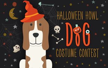 Enter PetGuide’s Halloween Howl Dog Costume Contest