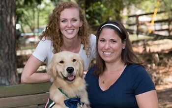 Facility Dog at Children’s Hospital Helps Kids Feel Better