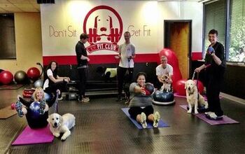 Fitness With Fido – Get Moving And Get Muttivated!