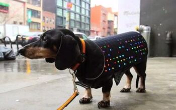 Flashback: The ’70s Are Back With The Light-Up Disco Dog Vest