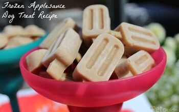 Frozen Applesauce Dog Treat Recipe