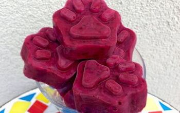 Frozen Mixed Summer Berry Dog Treat Recipe