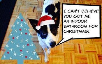 Gen Y Dogma: I’m Afraid My Dog Will Ruin Christmas