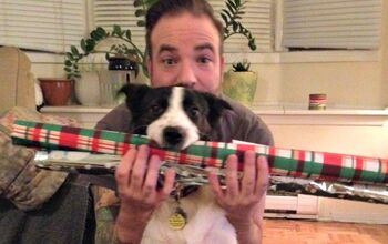 Gen Y Dogma: Top 5 Christmas Etsy Picks For The Urban Pet