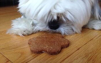 Ginger Snaps Dog Treat Recipe