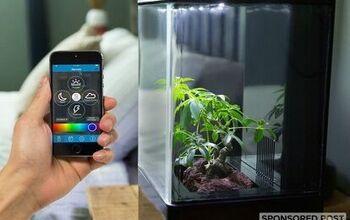 Go Green With EcoQube Air, the World’s First Desktop Greenhouse For 