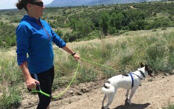 Go Hands Free With PaxLeash, the Extreme Jogging Leash