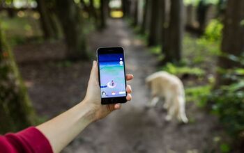 GPS Tracker Saves the Life of a Vancouver Island Pooch