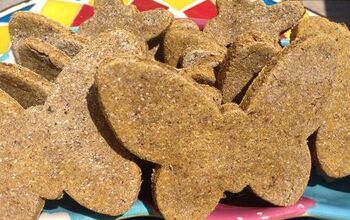 Grain-Free Pumpkin Dog Treats