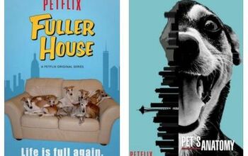 Graphic Design Student Creates Petflix Ads For Shows We’d Binge Watc