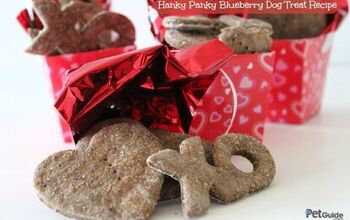 Hanky Panky Blueberry Dog Treat Recipe