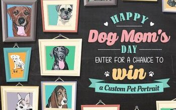 Happy Dog Mom’s Day Contest