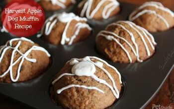 Harvest Apple Dog Muffin Recipe