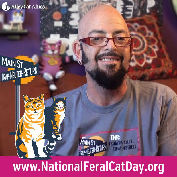 help celebrate national feralcatday on october 16 with jackson galaxy