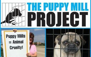 Help The Puppy Mill Project Shut Down The Puppy Production Line