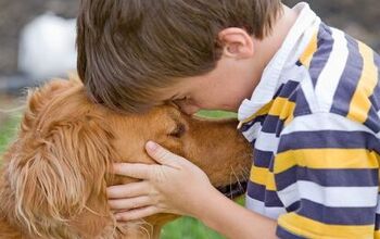 Helping A Child Cope With A Loss Of A Pet