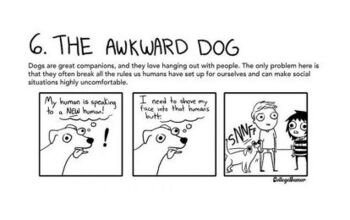 Hilarious Cartoons Depict Our Relationship With Pets