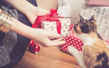 Holiday Gifts for Your Cats: Tips and Recommendations