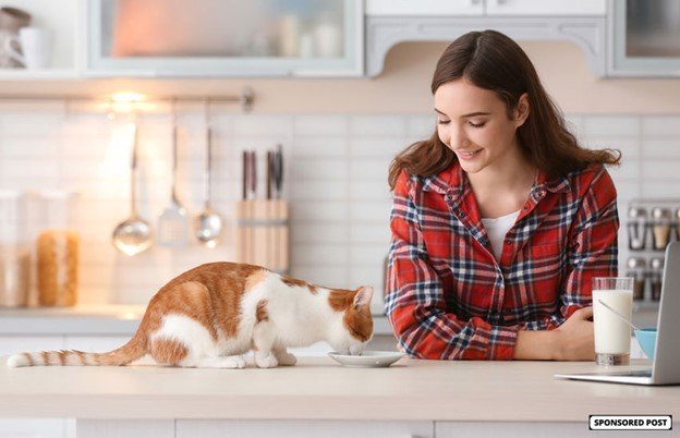 how a simplified diet can help your cat live their best life