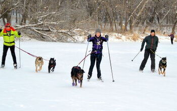 How To Correct Common Bad Mushing Habits