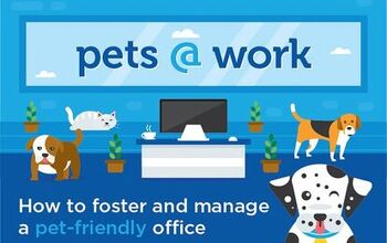 How to Create a Successful Pet-Friendly Office