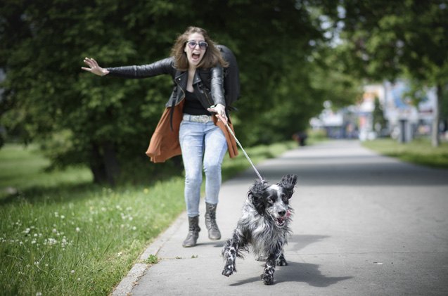 how to stop your dog from pulling during walks