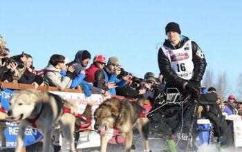 Iditarod Musher Whose Dogs Drug-Tested Positive Suggests Sabotage