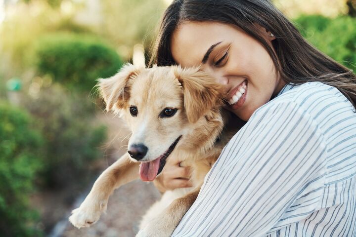 interacting with dogs affects your brain mood and focus, PeopleImages com Yuri A Shutterstock