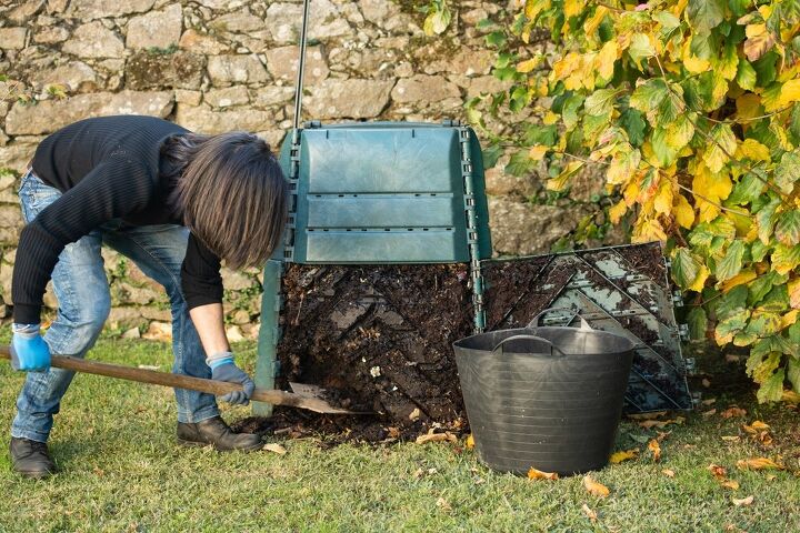 Is Dog Poop Compostable?