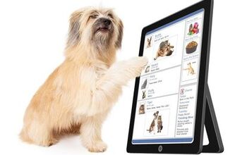 Is Your Animal Rescue Social Media Savvy?