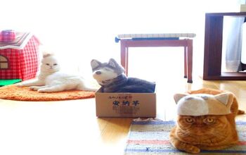 Japanese Cool Cats Wear Hats Made From Their Own Fur