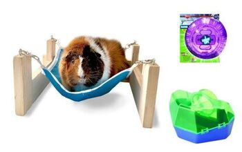 Kaytee Helps Hamsters Light It Up With New Products