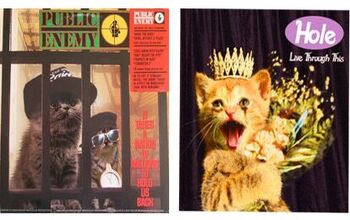 Kitten Album Covers Proves That Cats Rock!