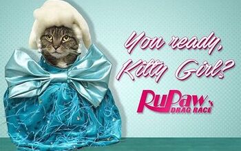 Kitty That Walk! The Claws Come Out at RuPaw’s Drag Race