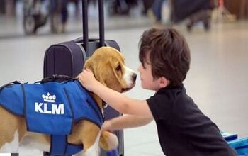 KLM’s Newest Employee Will Make You Want To Lose Your Luggage [Video