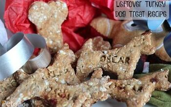 Leftover Turkey Dog Treat Recipe