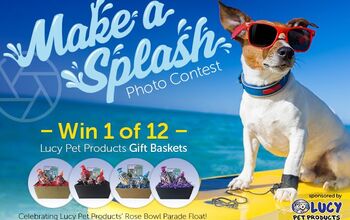 Lucy Pet Products’ Make a Splash Photo Contest